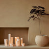 Soft beige and white candle holders with varying heights, complemented by a minimalistic round planter and green foliage.