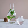Clear glass pitcher and cup with a minimalist design, showcasing green leaves in water against a soft beige background.
