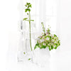 Clear glass vases showcasing a delicate arrangement of green stems and white floral accents against a bright backdrop.