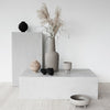 Gray and beige decor with organic shapes and textures, featuring a black vase and a light brown bowl. Elegant minimalism.