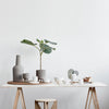 Elegant gray ceramic vase and cups on a wooden table, featuring lush green foliage for a minimalist aesthetic.
