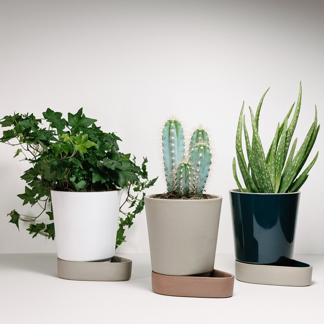 "Set of three stylish plant pots in white, beige, and dark green with smooth, modern patterns and matching saucers."